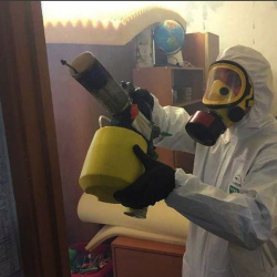 Уничтожение клопов в квартире. Болотное